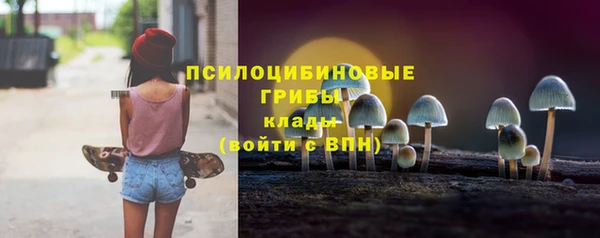 мдпв Беломорск