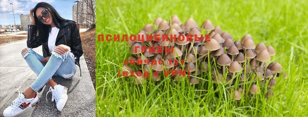 прущая мука Белоозёрский