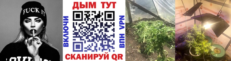 где можно купить наркотик  blacksprut вход  Бошки Шишки гибрид  Среднеколымск 